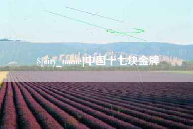 台湾中国十七块金牌