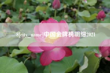台湾中国金牌榜明细2021