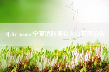 台湾宁夏消防报名入口官网公告