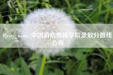 台湾中国消防救援学院录取分数线公布