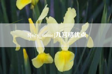 台湾九宫格优点
