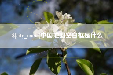 台湾中国地图空白框是什么
