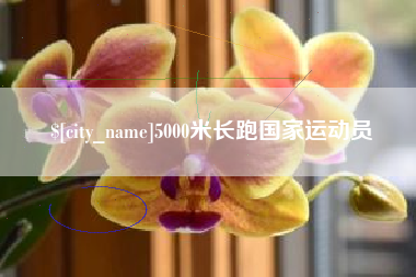 台湾5000米长跑国家运动员