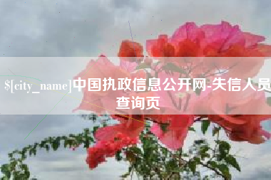 台湾中国执政信息公开网-失信人员查询页