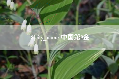 台湾中国第9金