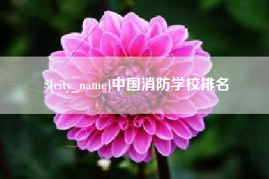 台湾中国消防学校排名