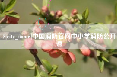 台湾中国消防官网中小学消防公开课