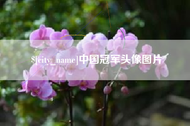 台湾中国冠军头像图片
