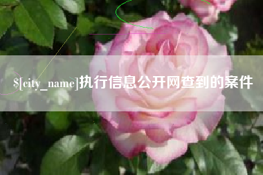 台湾执行信息公开网查到的案件