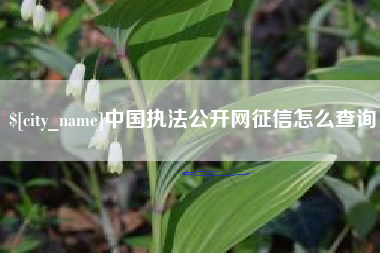 台湾中国执法公开网征信怎么查询