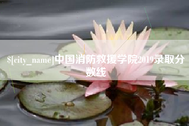 台湾中国消防救援学院2019录取分数线