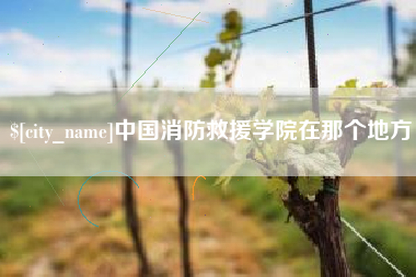 台湾中国消防救援学院在那个地方