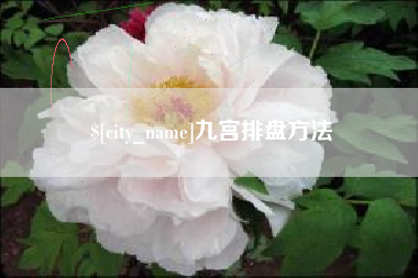 台湾九宫排盘方法