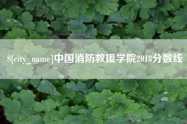 台湾中国消防救援学院2018分数线