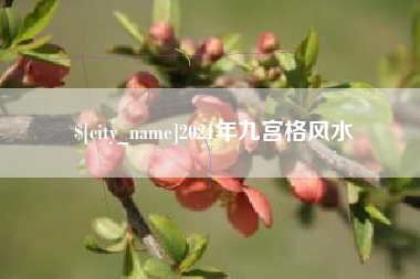 台湾2021年九宫格风水