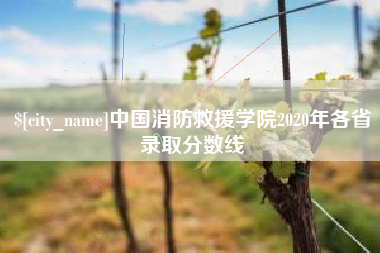 台湾中国消防救援学院2020年各省录取分数线