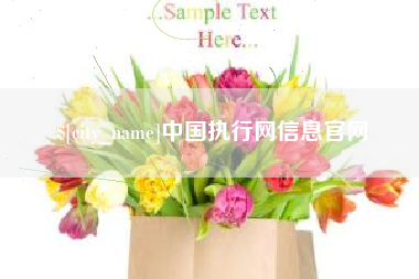 台湾中国执行网信息官网