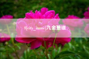 台湾九金是谁
