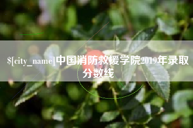 台湾中国消防救援学院2019年录取分数线