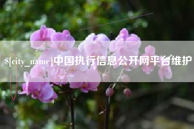 台湾中国执行信息公开网平台维护