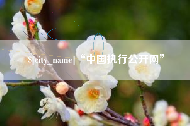 台湾“中国执行公开网”