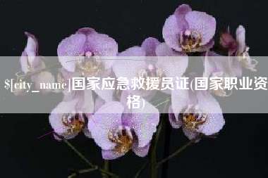 台湾国家应急救援员证(国家职业资格)