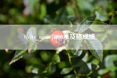 台湾5000米及格成绩