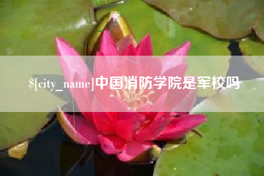 台湾中国消防学院是军校吗