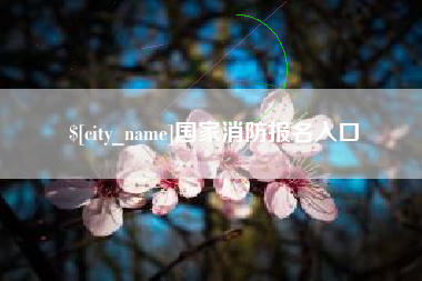 台湾国家消防报名入口