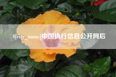 台湾中国执行信息公开网后