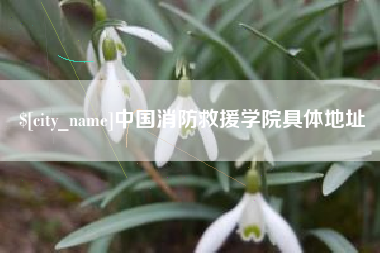 台湾中国消防救援学院具体地址