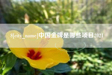 台湾中国金牌是哪些项目2021