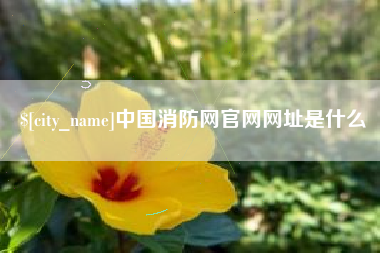 台湾中国消防网官网网址是什么