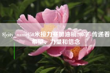 台湾50米接力赛加油稿200字-传递着希望、力量和信念