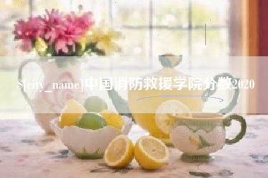 台湾中国消防救援学院分数2020