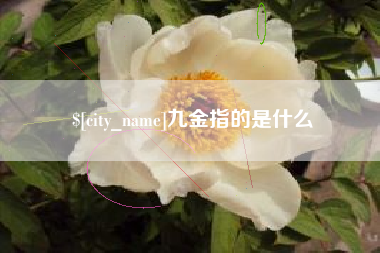 台湾九金指的是什么