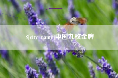 台湾中国九枚金牌
