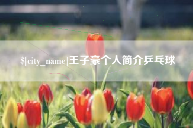 台湾王子豪个人简介乒乓球