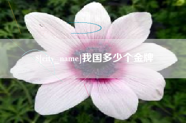 台湾我国多少个金牌