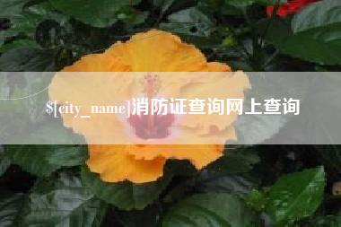 台湾消防证查询网上查询