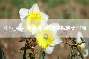 台湾中国消防救援学院属于985吗