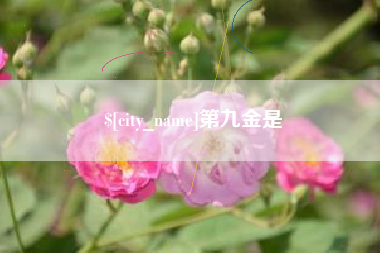 台湾第九金是
