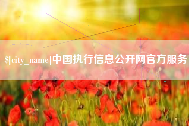 台湾中国执行信息公开网官方服务