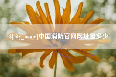 台湾中国消防官网网址是多少
