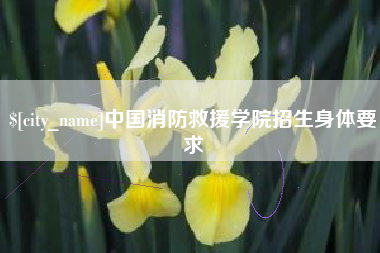 台湾中国消防救援学院招生身体要求