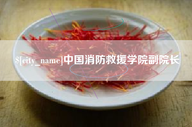 台湾中国消防救援学院副院长