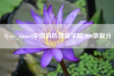 台湾中国消防救援学院2020录取分