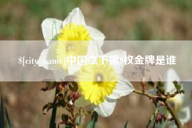 台湾中国拿下第9枚金牌是谁