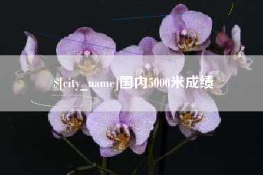台湾国内5000米成绩