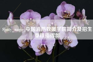 台湾中国消防救援学院简介及招生章程指挥部
